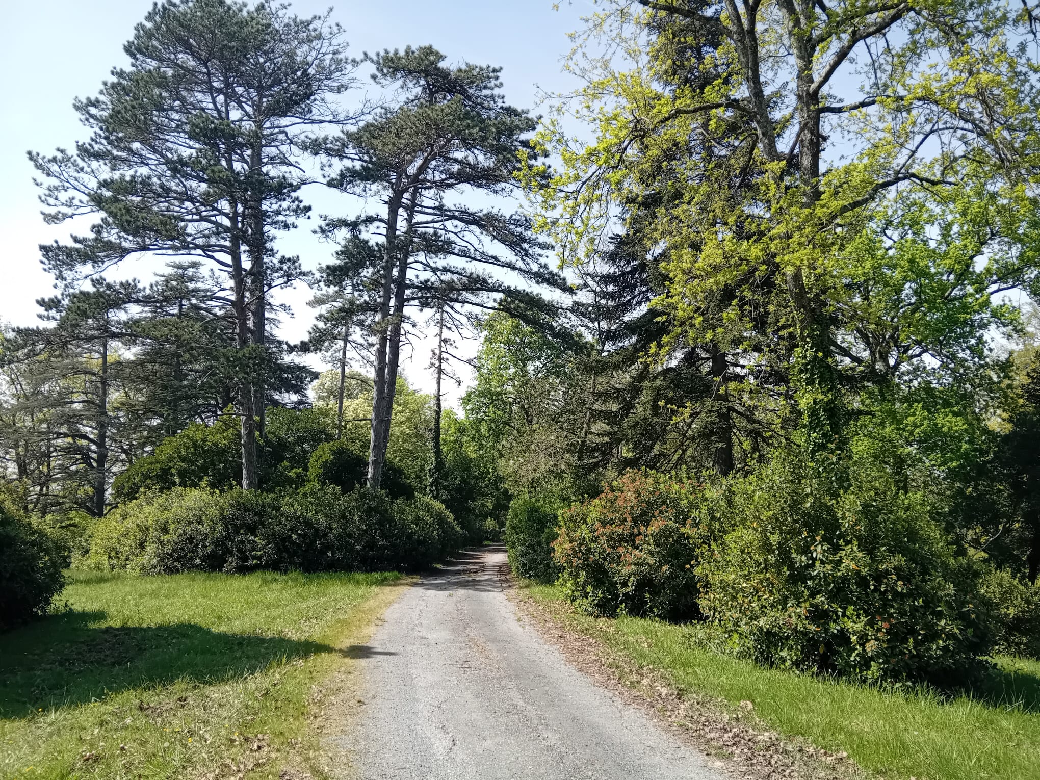 Des personnages se tiennent les mains en cercle